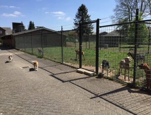 Dierenherberg Het Grote Veld