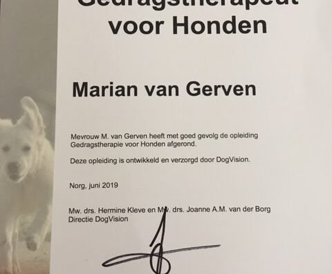 Een goed hondenleven