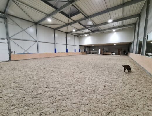 Newdogs Hondentraining