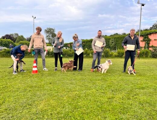 Puppyschool PurSang