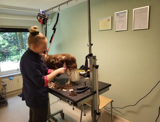 Trimsalon ’t Natte Pootje