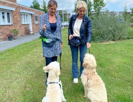Zensitive Puppy Training – spelenderwijs verbinden, liefdevol leren gehoorzamen