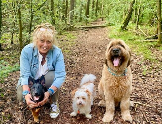 Dierentrainers Academie