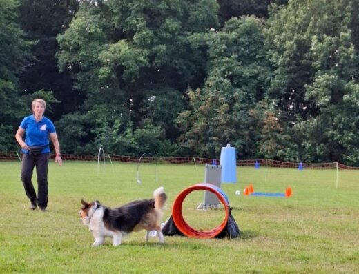 Hondenschool De Wolfskamer