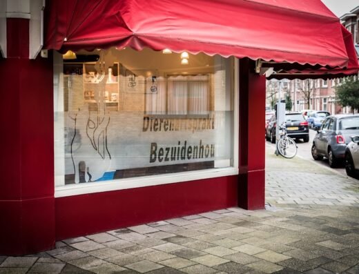 Dierenartsenpraktijk Bezuidenhout