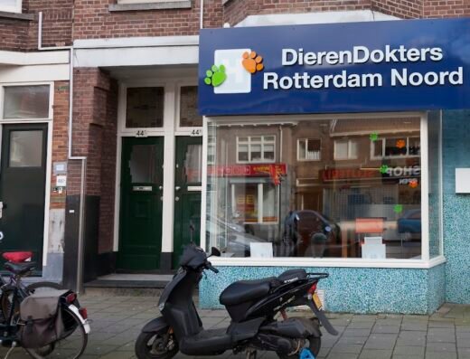 DierenDokters Rotterdam Noord