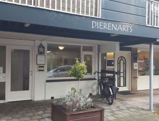 Dierenkliniek Europawijk Haarlem