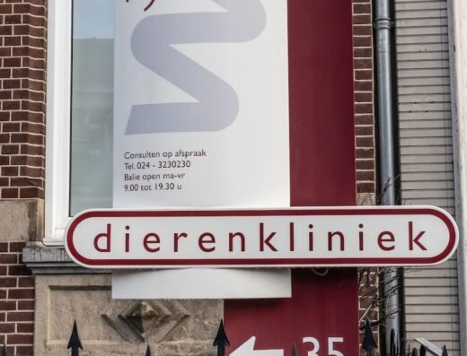 Dierenkliniek Pijnappel