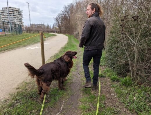 DogGuidance
